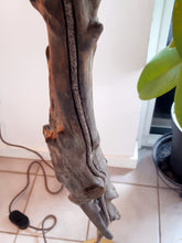 Indlæs billede til gallerivisning Spejderen