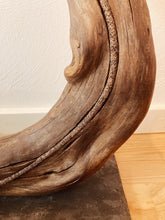 Indlæs billede til gallerivisning Tranen