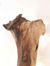 Indlæs billede til gallerivisning Kræmmerhuset