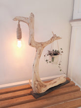 Indlæs billede til gallerivisning Løbehjulet