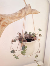 Indlæs billede til gallerivisning Løbehjulet