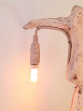 Indlæs billede til gallerivisning Løbehjulet