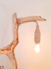 Indlæs billede til gallerivisning Løbehjulet