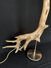 Indlæs billede til gallerivisning Lækatten